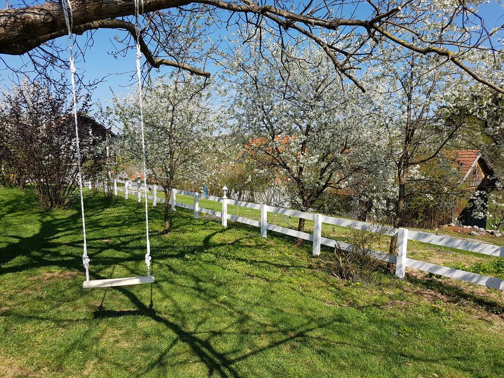 House Wisteria Villa Rakovica Exterior photo